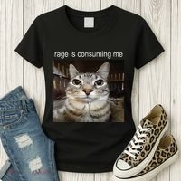 Rage Is Consuming Me Silly Staring Cat Meme Women's T-Shirt thumb 3