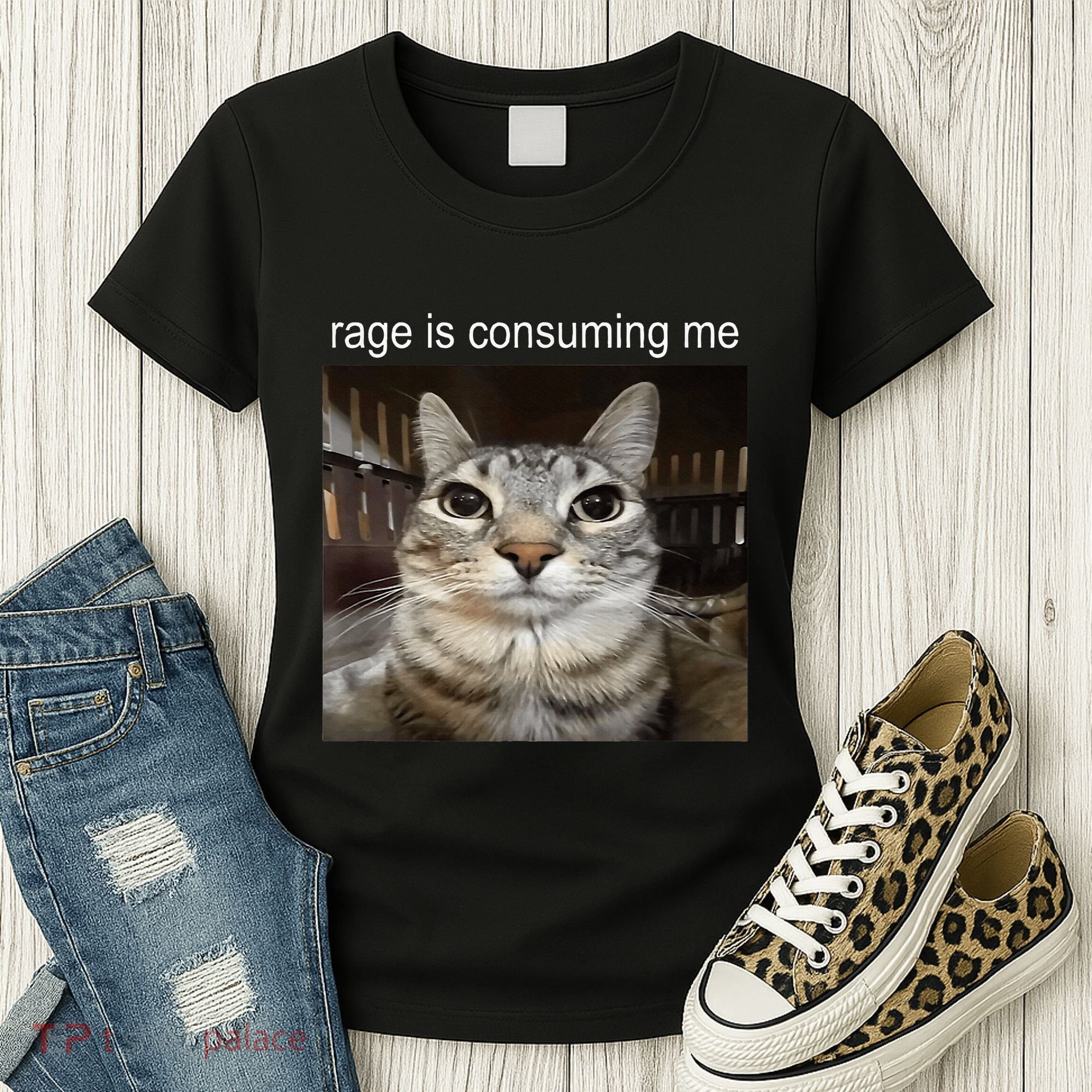 Rage Is Consuming Me Silly Staring Cat Meme Women's T-Shirt