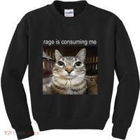 Rage Is Consuming Me Silly Staring Cat Meme Kids Sweatshirt thumb 0