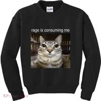 Rage Is Consuming Me Silly Staring Cat Meme Kids Sweatshirt thumb 0