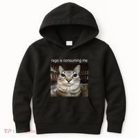 Rage Is Consuming Me Silly Staring Cat Meme Kids Hoodie thumb 0