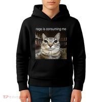 Rage Is Consuming Me Silly Staring Cat Meme Kids Hoodie thumb 4