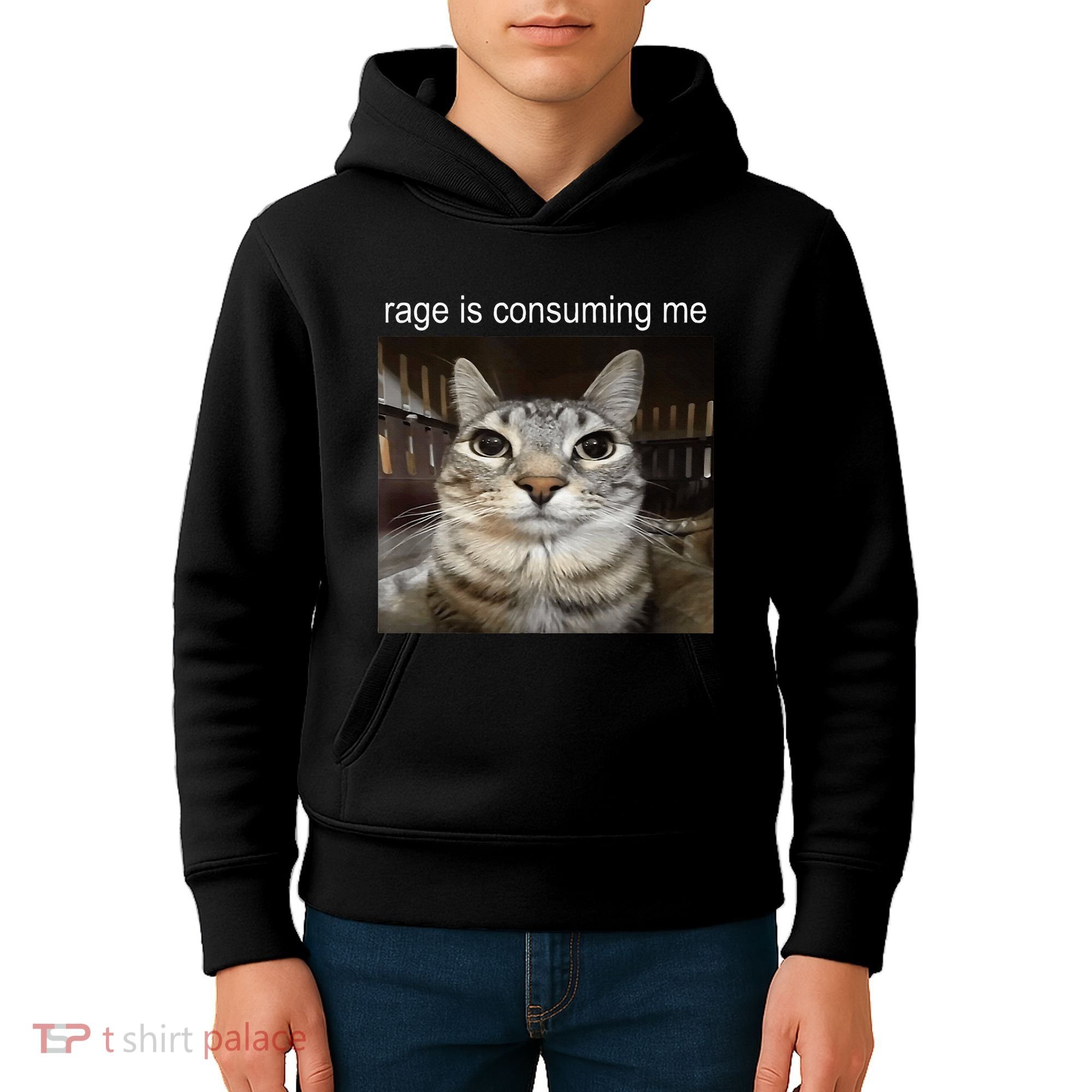 Rage Is Consuming Me Silly Staring Cat Meme Kids Hoodie