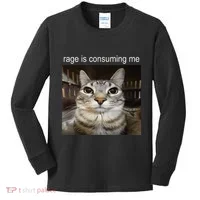 Rage Is Consuming Me Silly Staring Cat Meme Kids Long Sleeve Shirt thumb 0