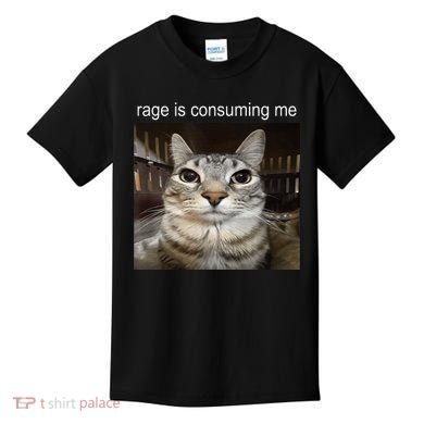 Rage Is Consuming Me Silly Staring Cat Meme Kids T-Shirt