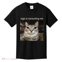 Rage Is Consuming Me Silly Staring Cat Meme Kids T-Shirt thumb 0