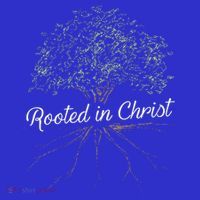 Rooted In Christ Christian Jesus T-Shirt thumb 7