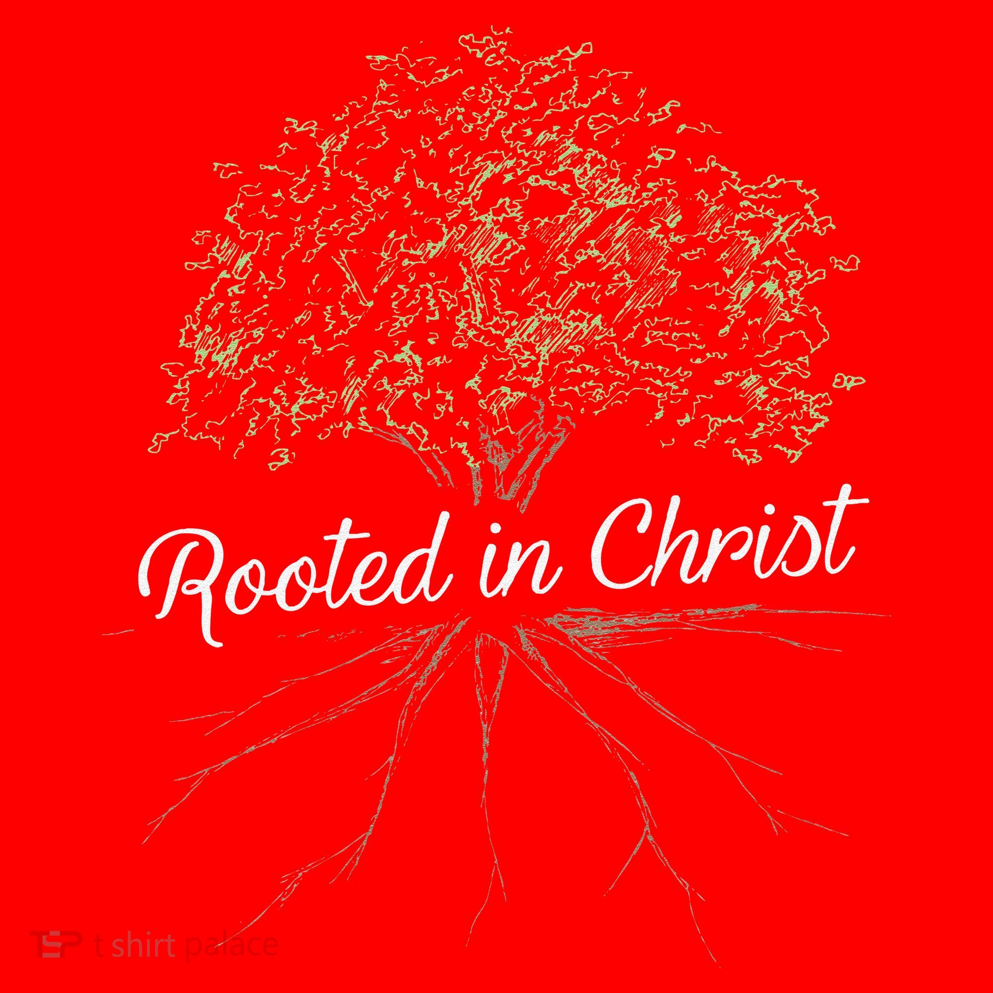 Rooted In Christ Christian Jesus Santa Hat