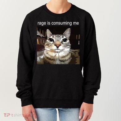 Rage Is Consuming Me Silly Staring Cat Meme Women's Sweatshirt