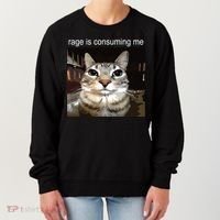 Rage Is Consuming Me Silly Staring Cat Meme Women's Sweatshirt thumb 0
