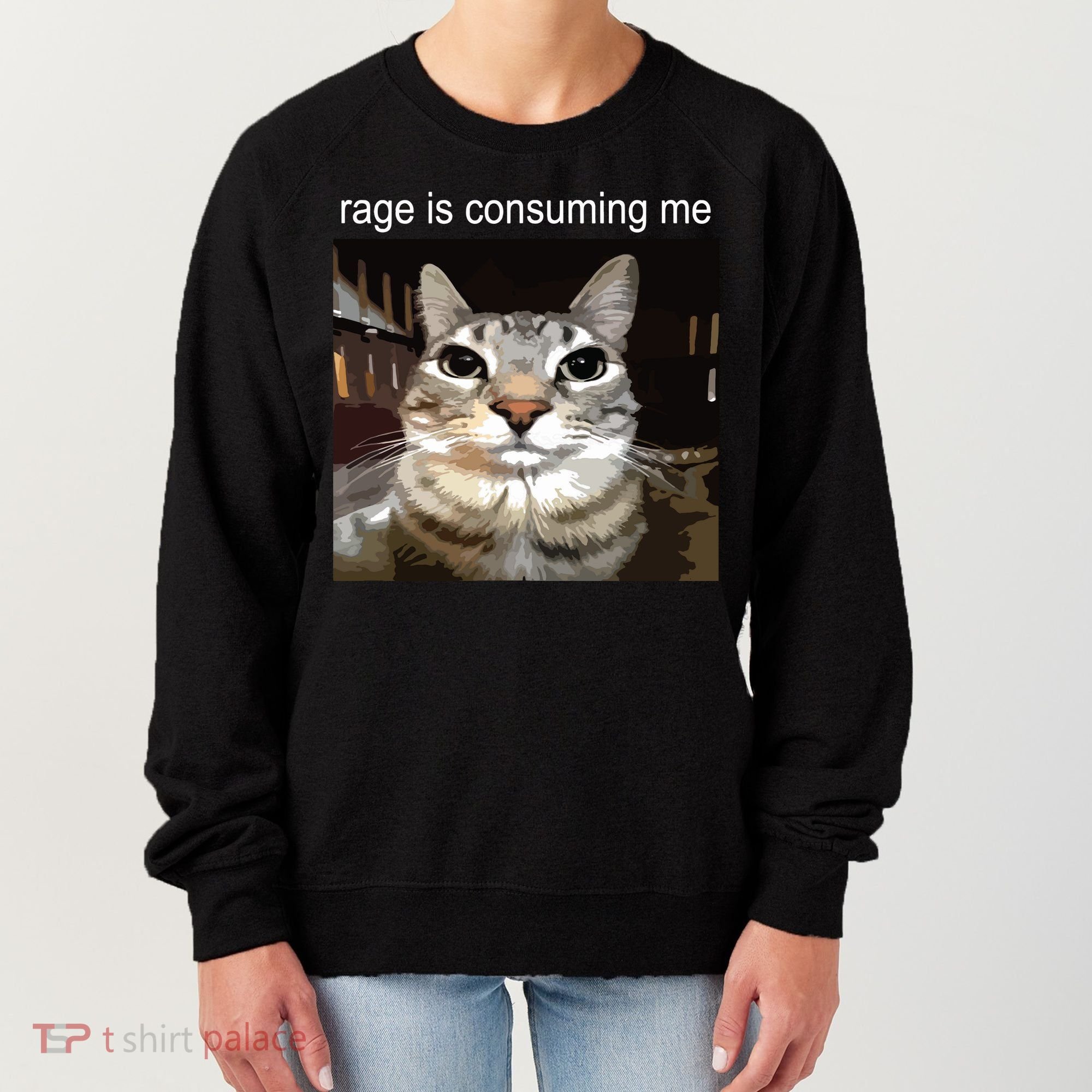 Rage Is Consuming Me Silly Staring Cat Meme Women's Sweatshirt