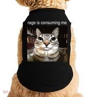 Rage Is Consuming Me Silly Staring Cat Meme Doggie Tank thumb 0