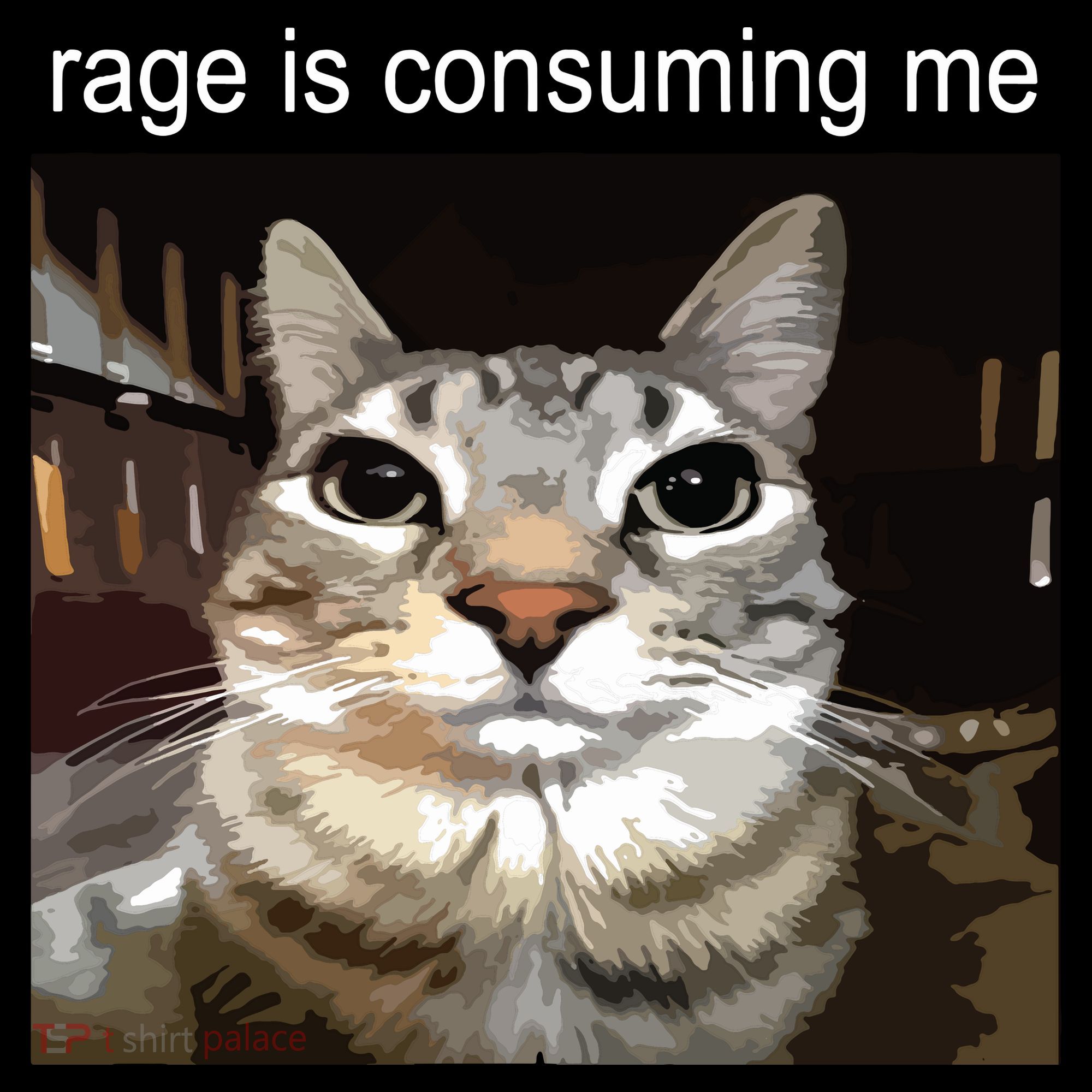 Rage Is Consuming Me Silly Staring Cat Meme Doggie Tank