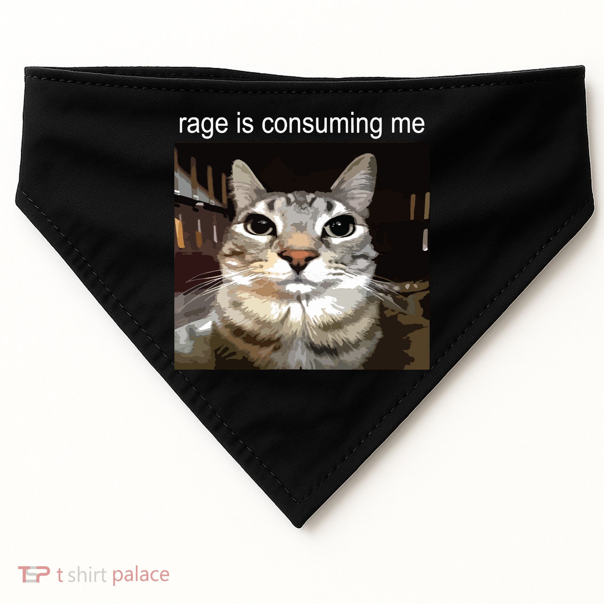 Rage Is Consuming Me Silly Staring Cat Meme USA-Made Doggie Bandana