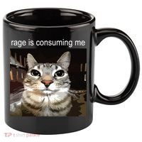 Rage Is Consuming Me Silly Staring Cat Meme 11oz C Handle Ceramic Mug thumb 0
