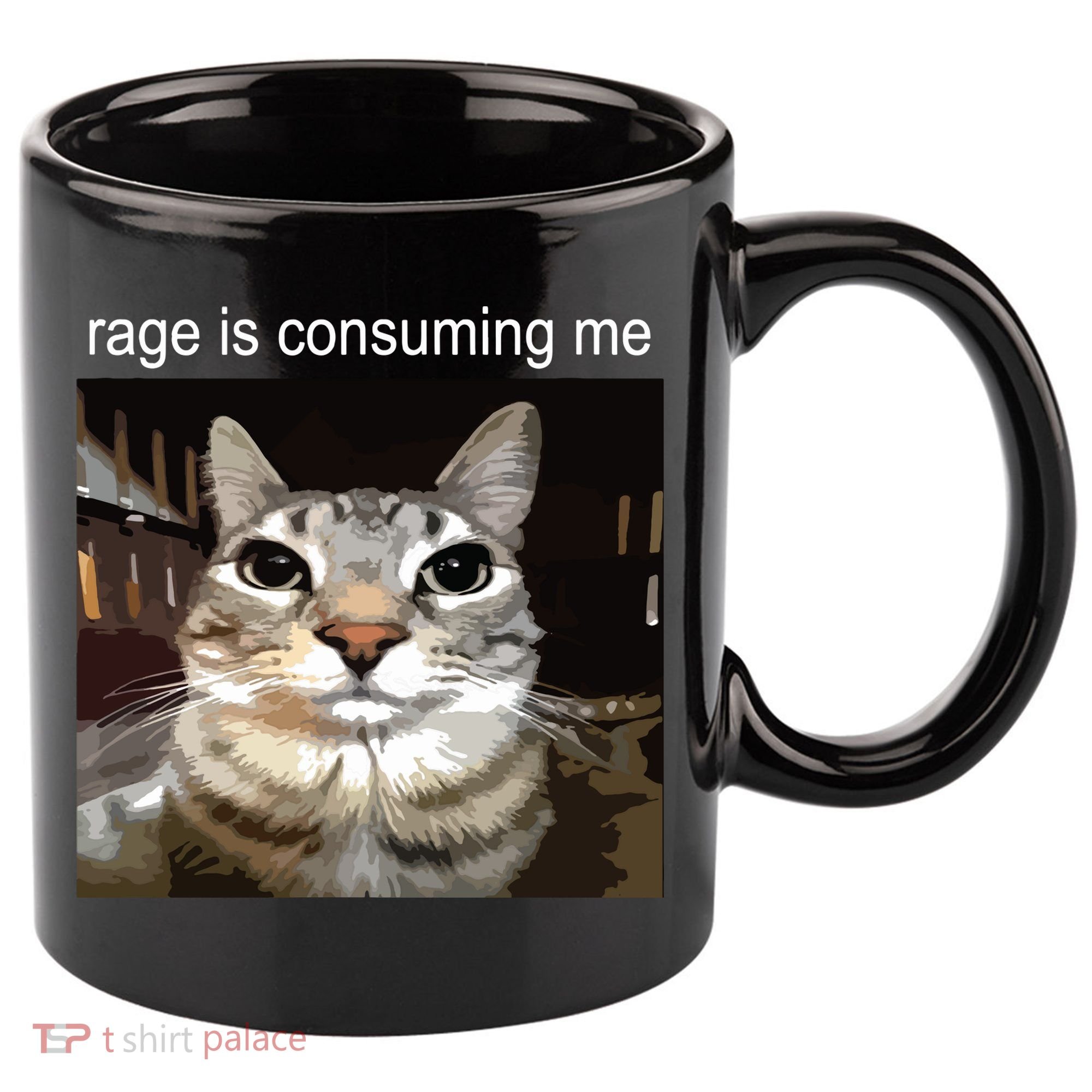 Rage Is Consuming Me Silly Staring Cat Meme 11oz C Handle Ceramic Mug