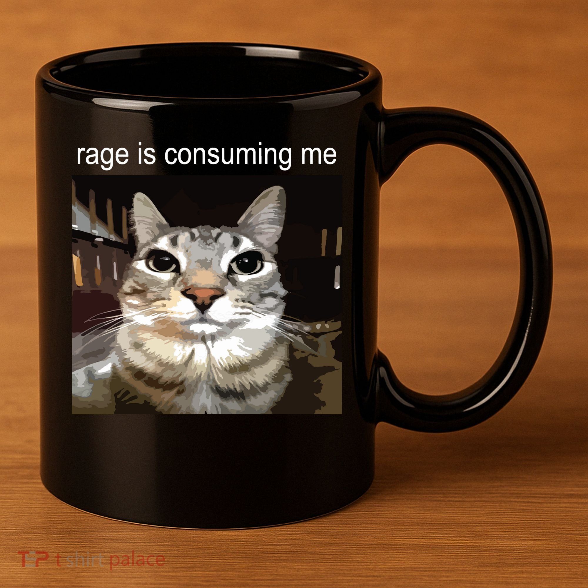 Rage Is Consuming Me Silly Staring Cat Meme 11oz C Handle Ceramic Mug