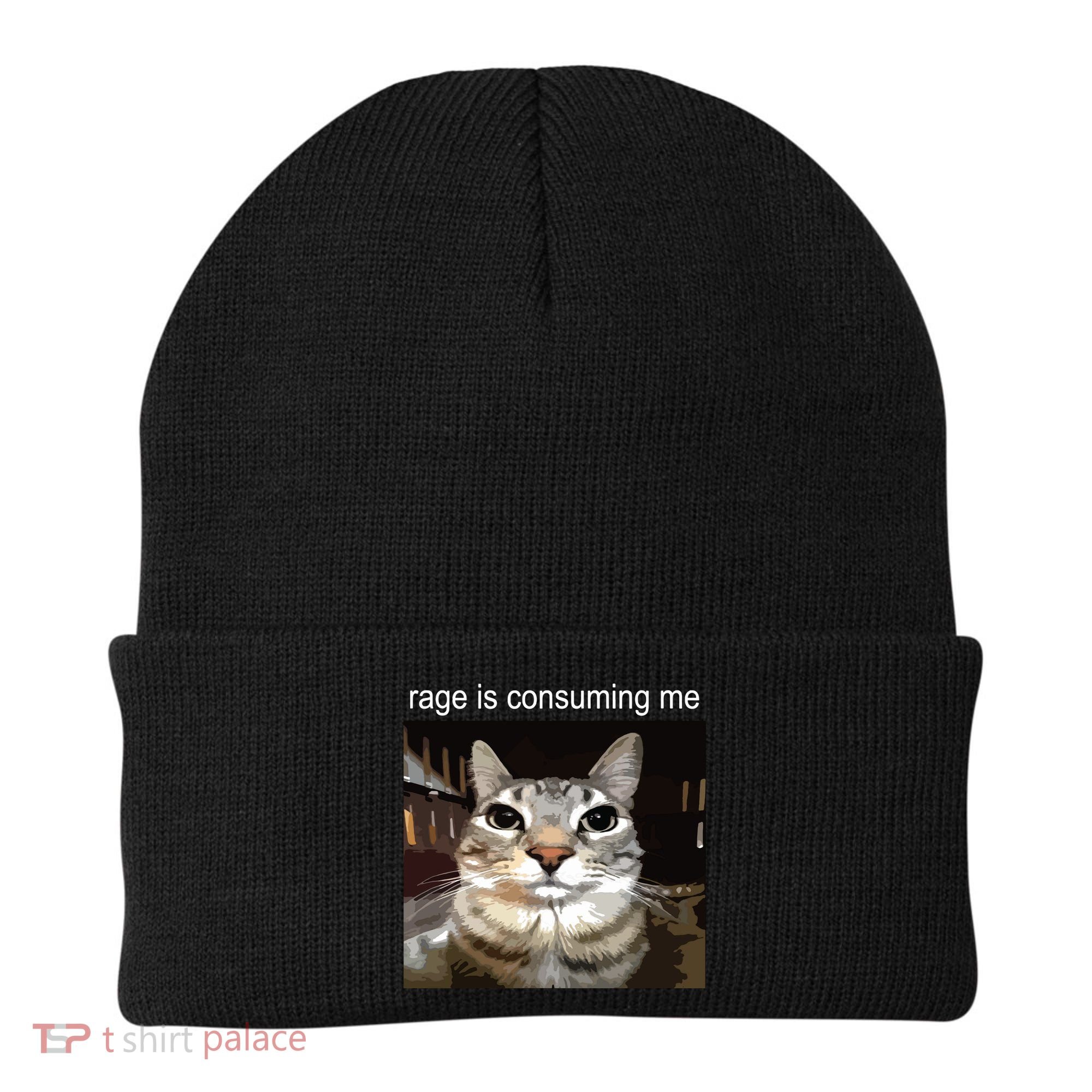 Rage Is Consuming Me Silly Staring Cat Meme Beanie