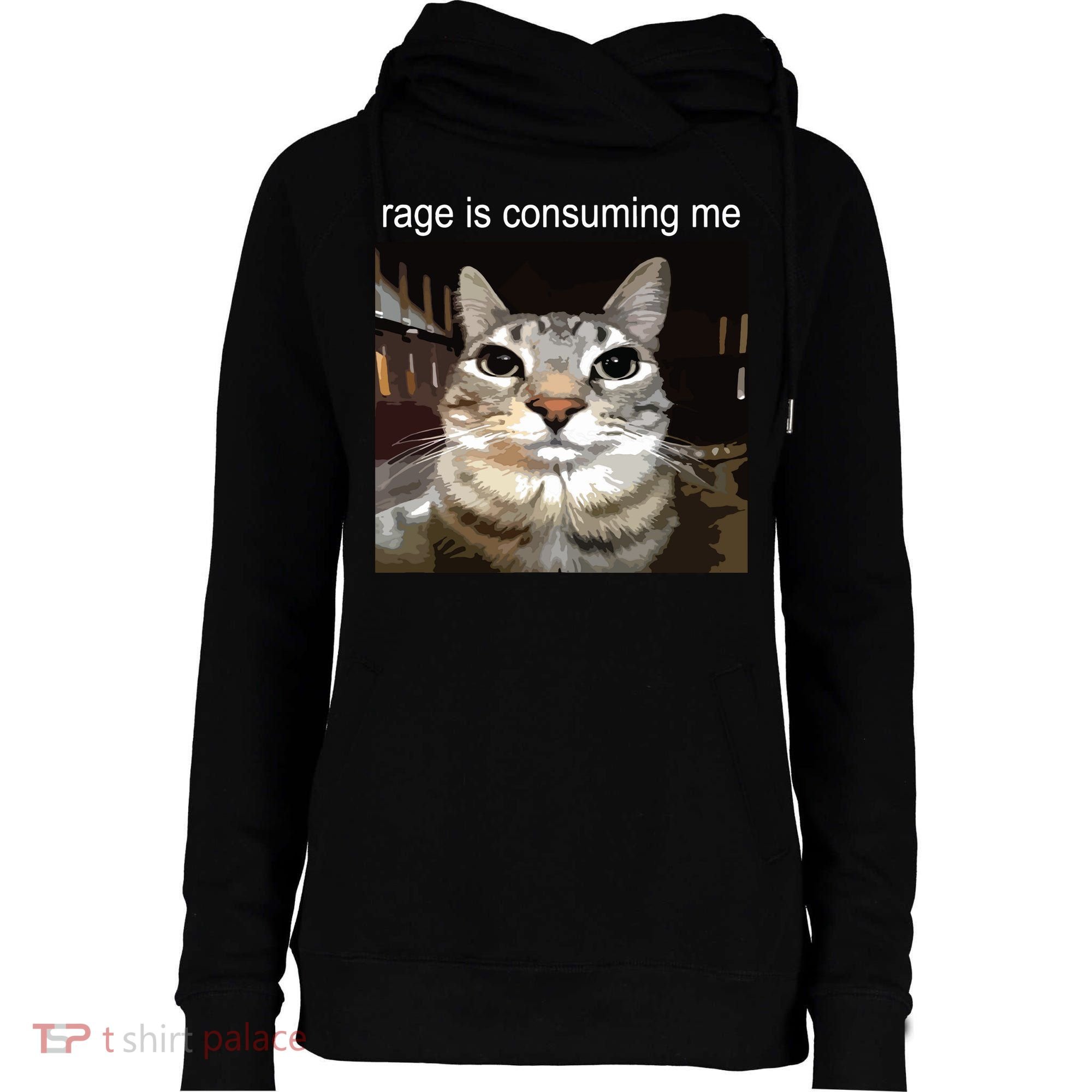 Rage Is Consuming Me Silly Staring Cat Meme Womens Funnel Neck Pullover Hood
