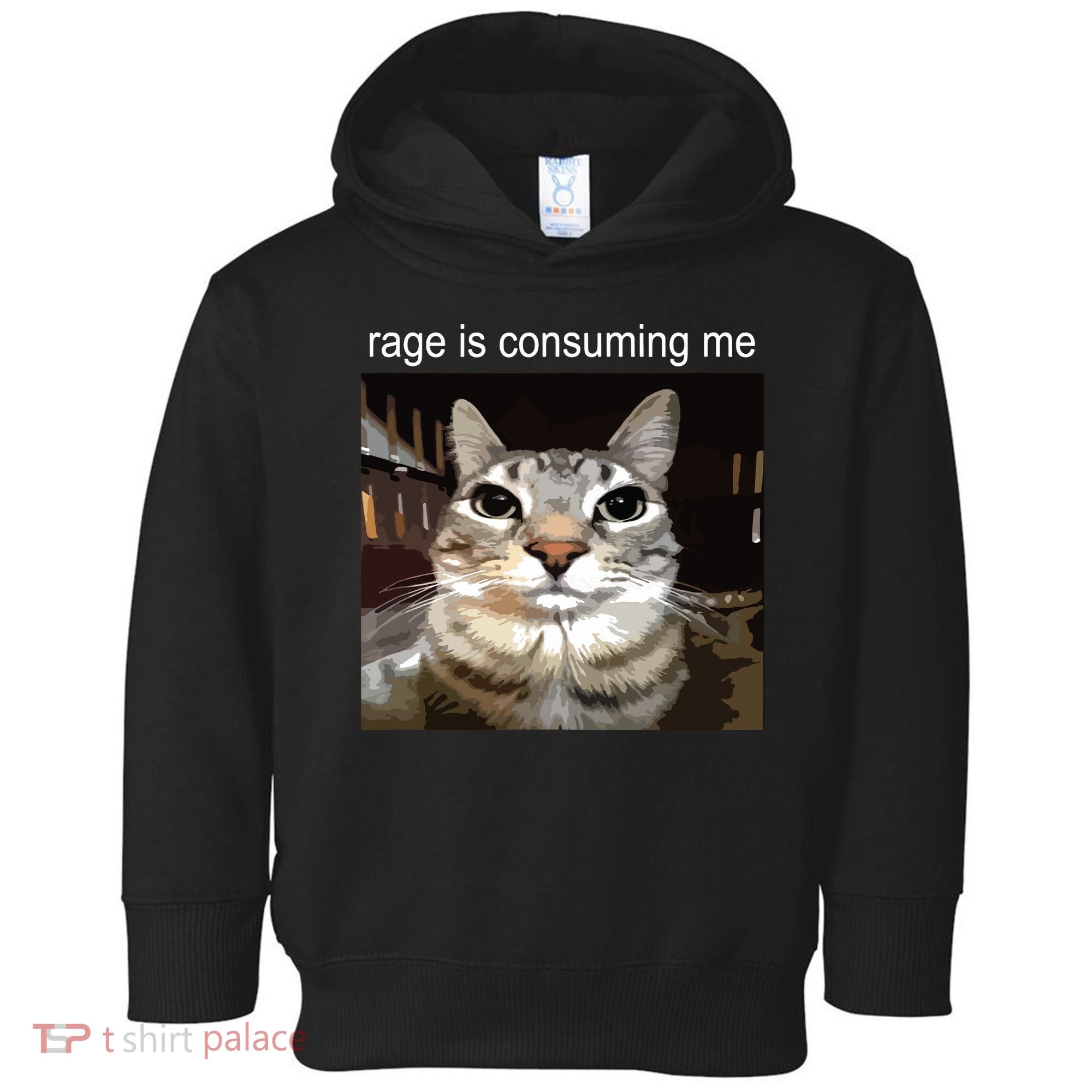 Rage Is Consuming Me Silly Staring Cat Meme Toddler Hoodie