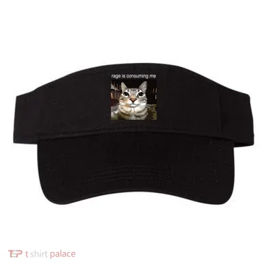 Visor