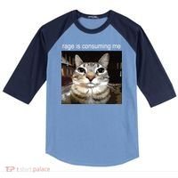 Rage Is Consuming Me Silly Staring Cat Meme Raglan Baseball Sleeve Shirt thumb 0