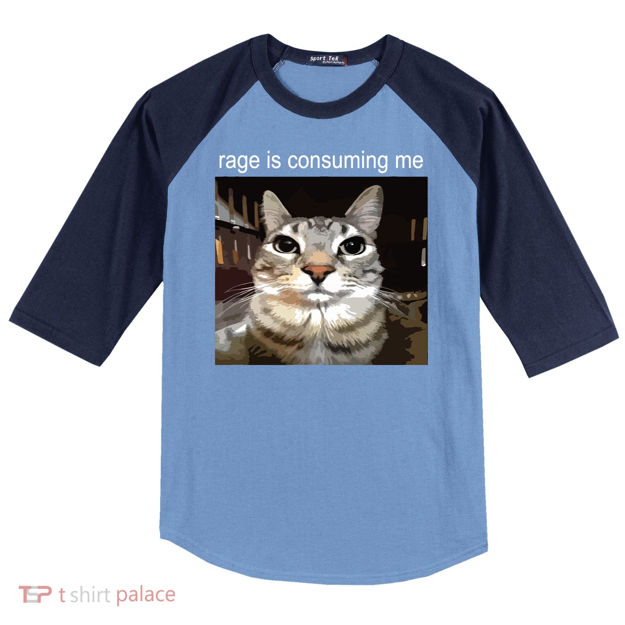 Rage Is Consuming Me Silly Staring Cat Meme Raglan Baseball Sleeve Shirt