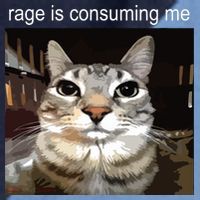 Rage Is Consuming Me Silly Staring Cat Meme Raglan Baseball Sleeve Shirt thumb 2
