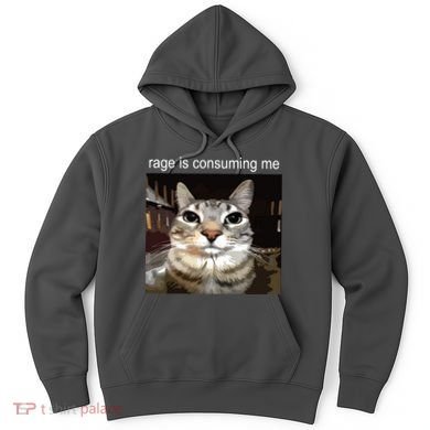 Rage Is Consuming Me Silly Staring Cat Meme Hoodie