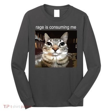 Rage Is Consuming Me Silly Staring Cat Meme Long Sleeve Shirt