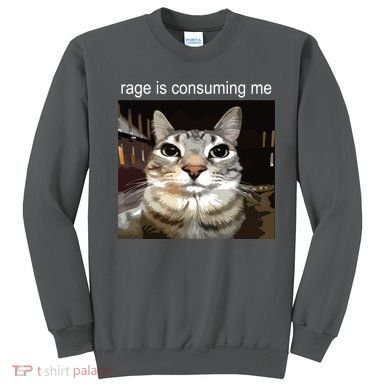 Rage Is Consuming Me Silly Staring Cat Meme Sweatshirt