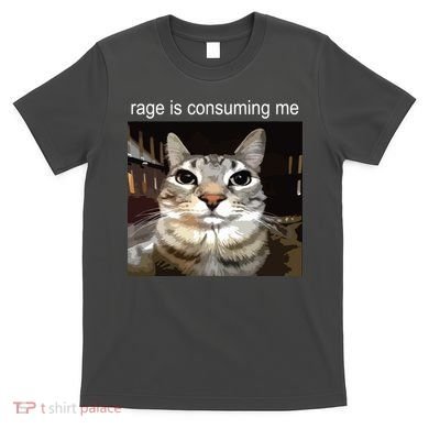 Rage Is Consuming Me Silly Staring Cat Meme T-Shirt