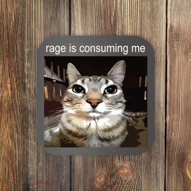 Rage Is Consuming Me Silly Staring Cat Meme Coaster