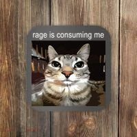 Rage Is Consuming Me Silly Staring Cat Meme Coaster thumb 0