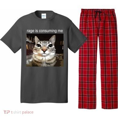 Rage Is Consuming Me Silly Staring Cat Meme Pajama Set