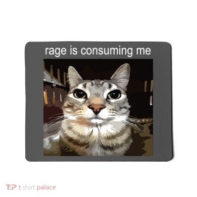 Rage Is Consuming Me Silly Staring Cat Meme Mousepad