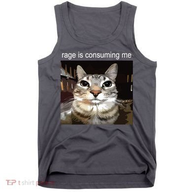 Rage Is Consuming Me Silly Staring Cat Meme Tank Top