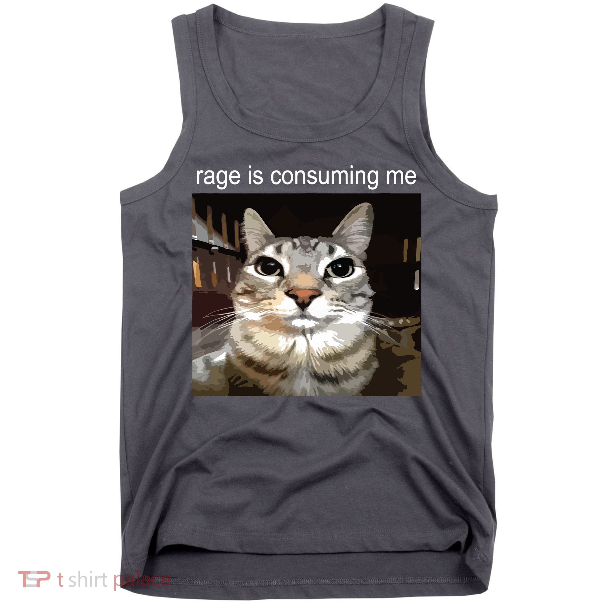 Rage Is Consuming Me Silly Staring Cat Meme Tank Top