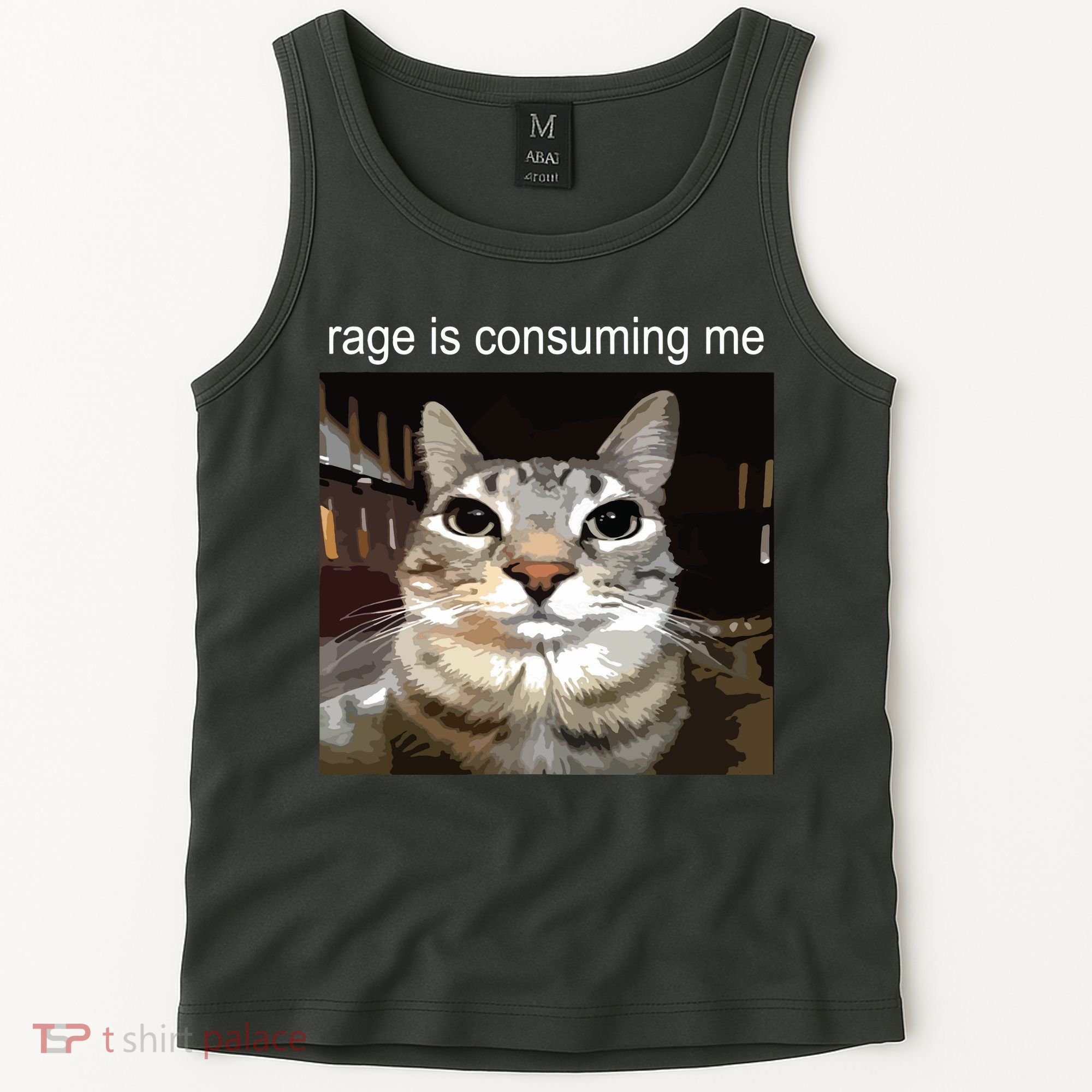 Rage Is Consuming Me Silly Staring Cat Meme Tank Top