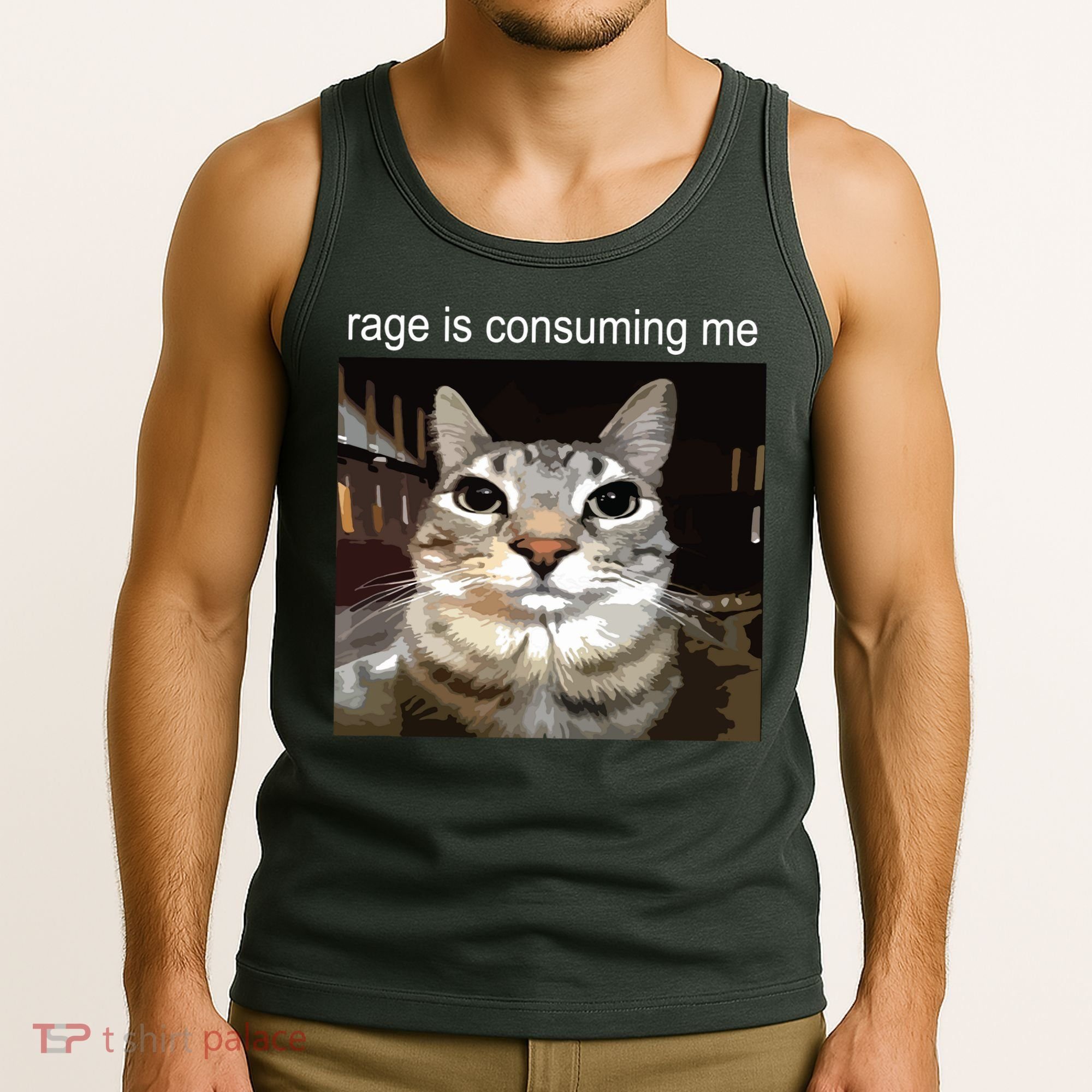 Rage Is Consuming Me Silly Staring Cat Meme Tank Top