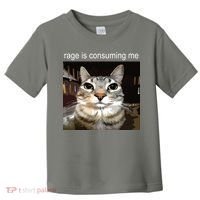Rage Is Consuming Me Silly Staring Cat Meme Toddler T-Shirt thumb 0