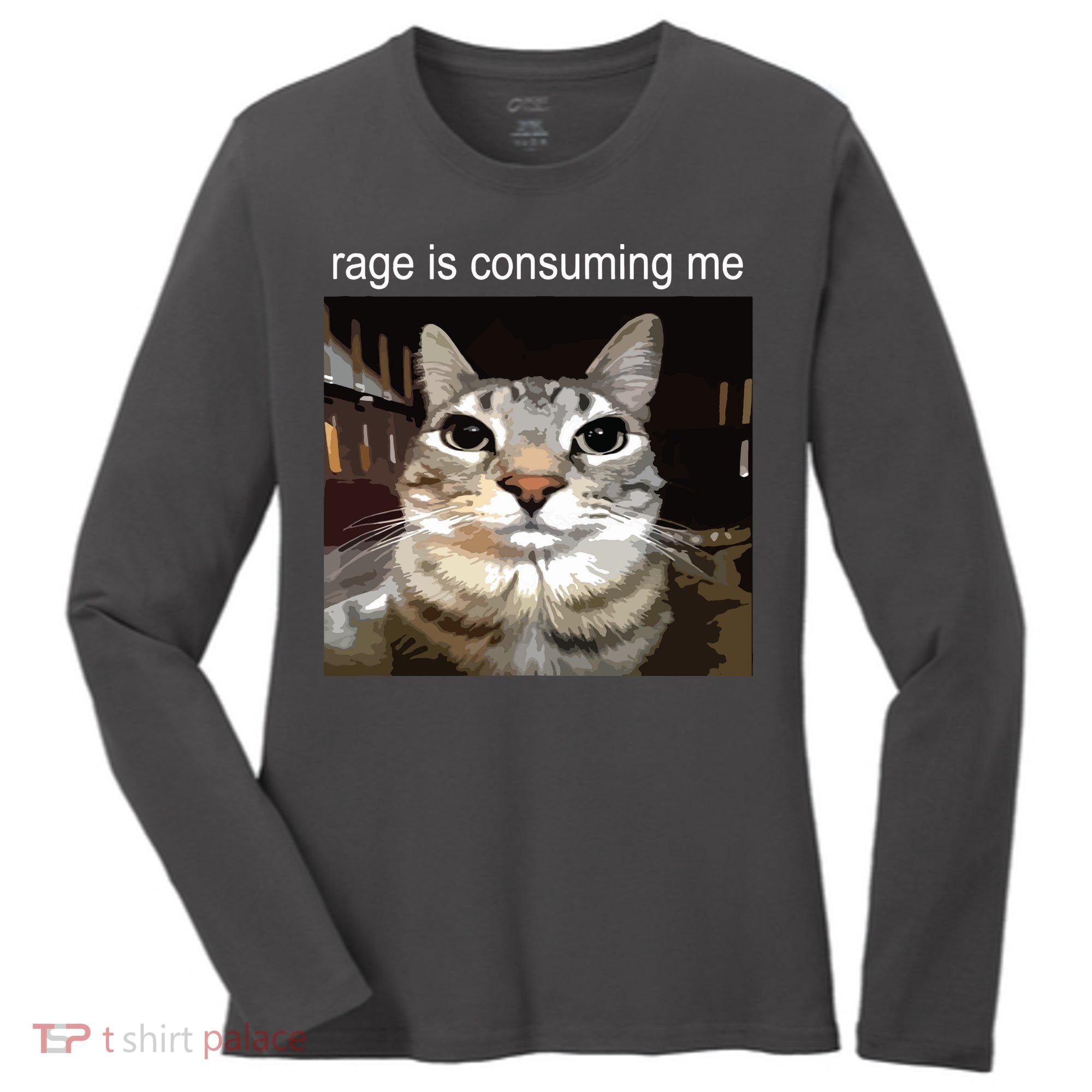 Rage Is Consuming Me Silly Staring Cat Meme Women's Long Sleeve Shirt