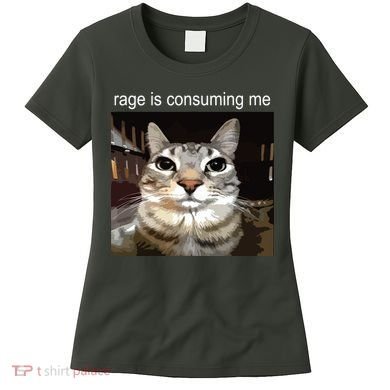 Rage Is Consuming Me Silly Staring Cat Meme Women's T-Shirt