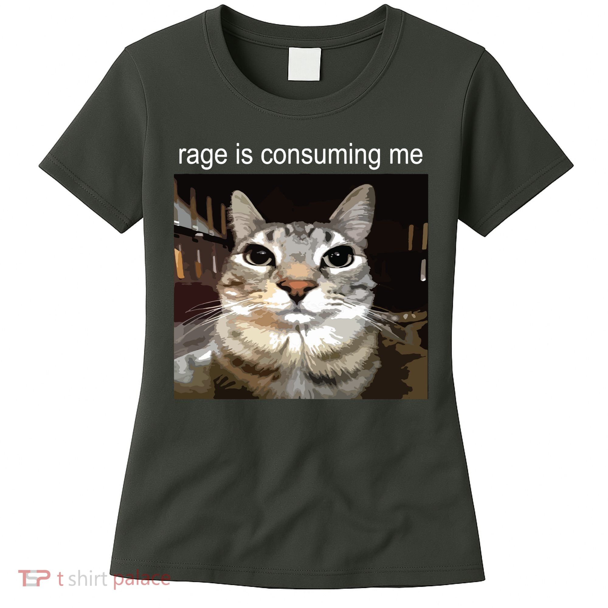Rage Is Consuming Me Silly Staring Cat Meme Women's T-Shirt