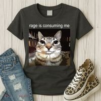 Rage Is Consuming Me Silly Staring Cat Meme Women's T-Shirt thumb 3