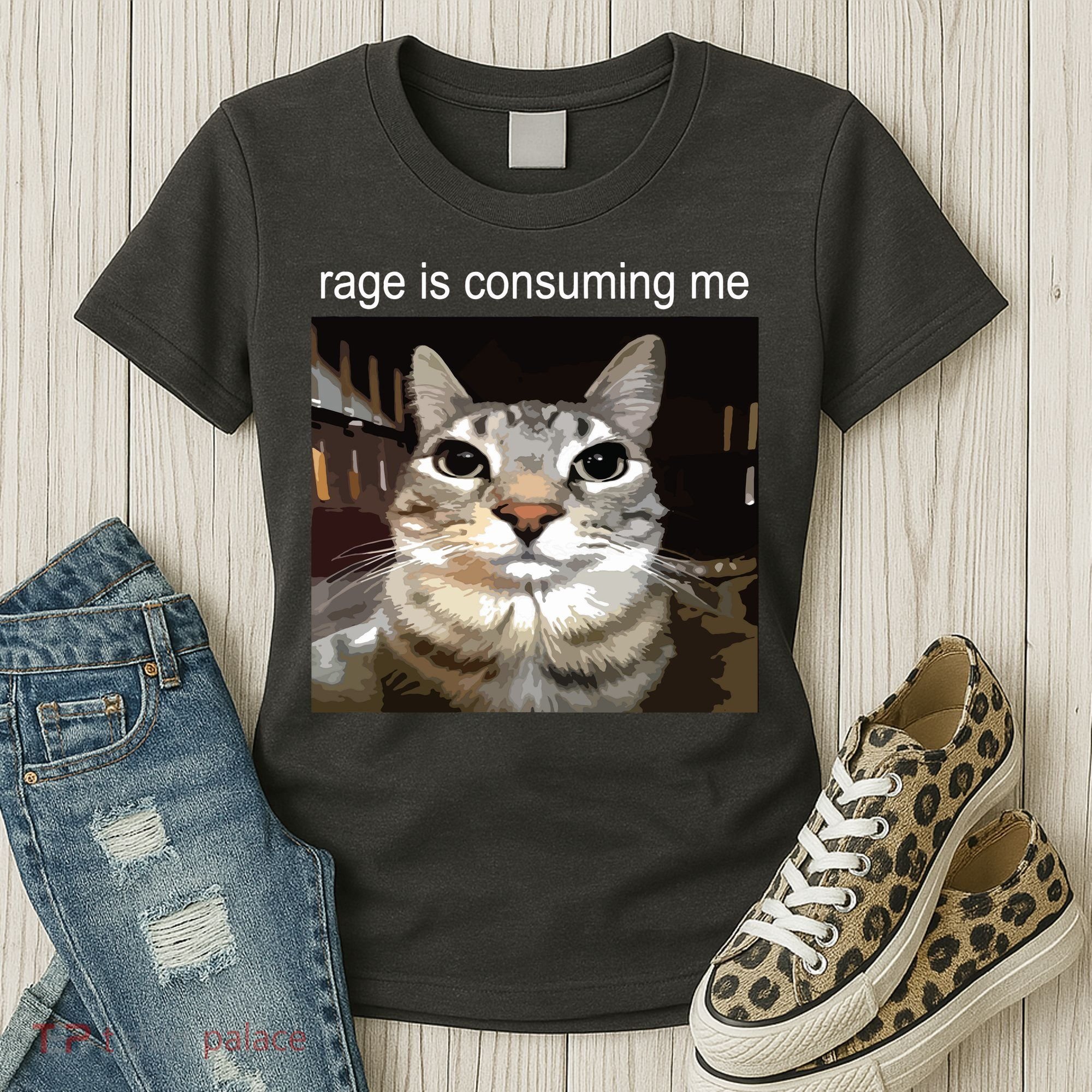 Rage Is Consuming Me Silly Staring Cat Meme Women's T-Shirt
