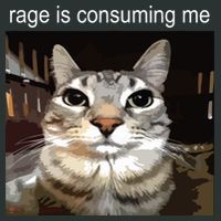 Rage Is Consuming Me Silly Staring Cat Meme Women's T-Shirt thumb 6