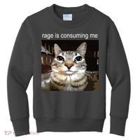 Rage Is Consuming Me Silly Staring Cat Meme Kids Sweatshirt thumb 0
