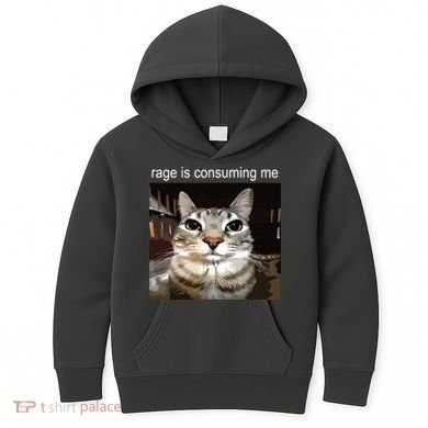 Rage Is Consuming Me Silly Staring Cat Meme Kids Hoodie