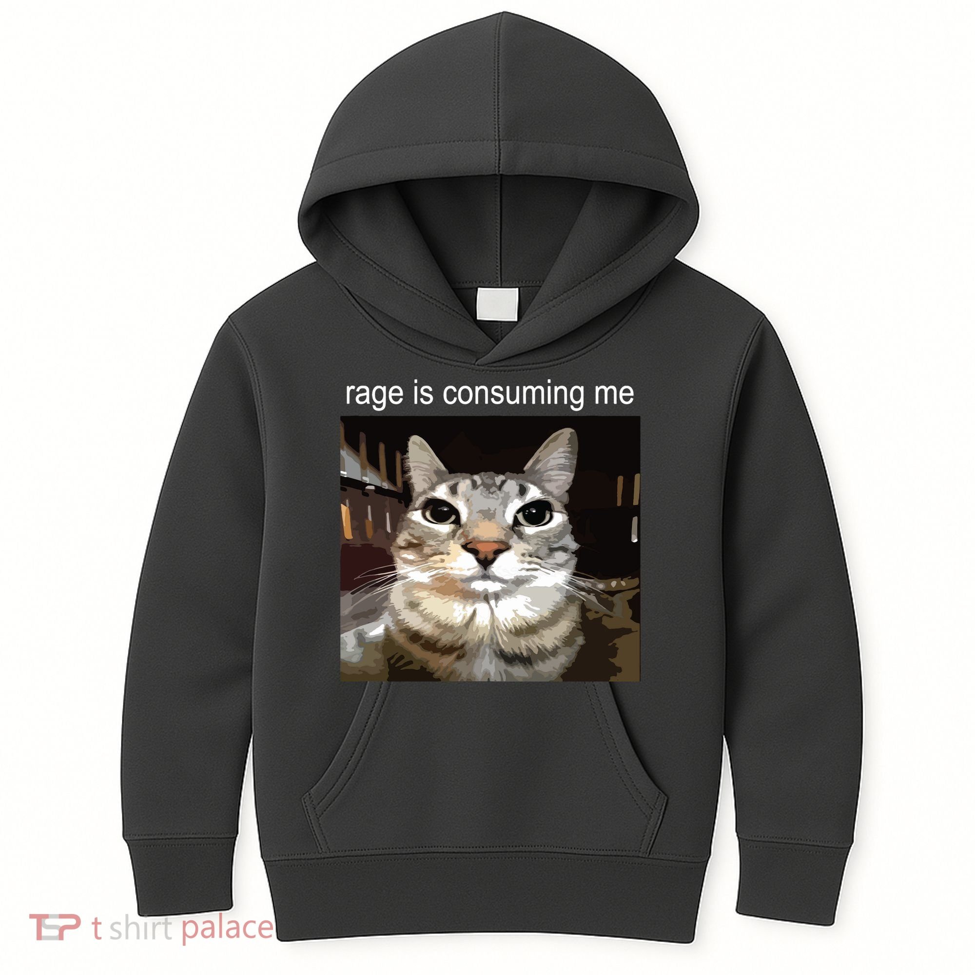 Rage Is Consuming Me Silly Staring Cat Meme Kids Hoodie